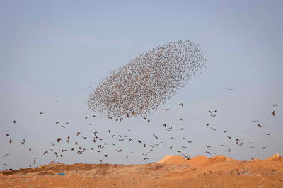 כוחה של ההתחלה | טור חשוב לפתיחת מושב החורף