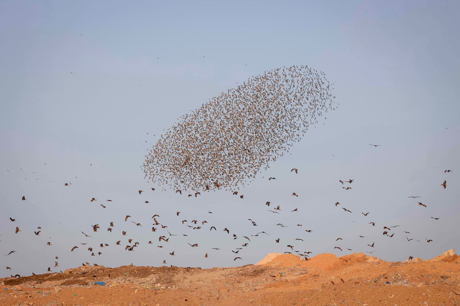 כוחה של ההתחלה | טור חשוב לפתיחת מושב החורף