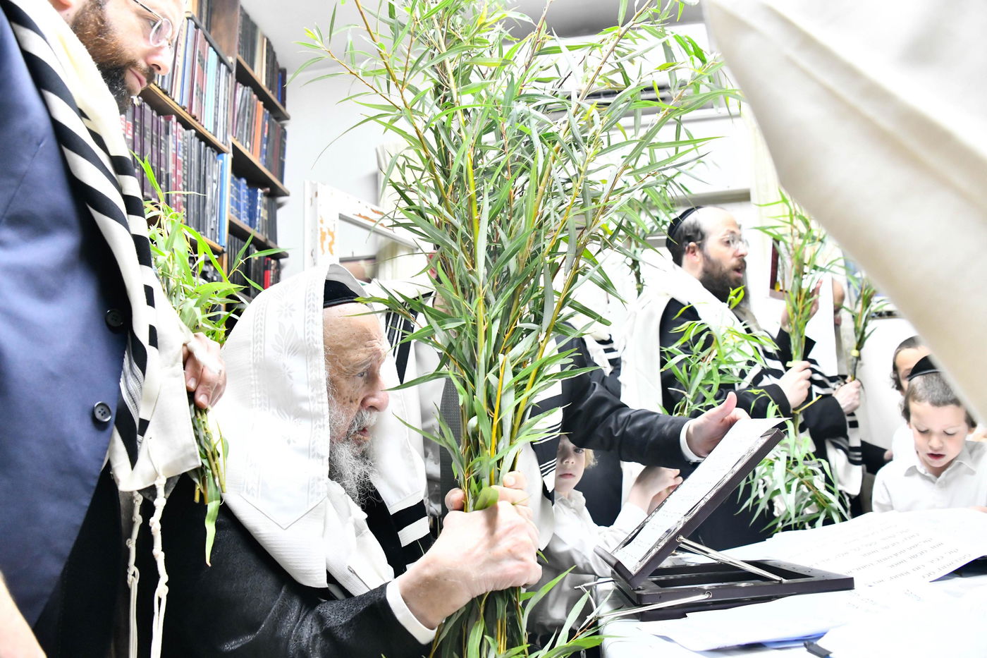 הגרב"ד פוברסקי בהושענא רבה