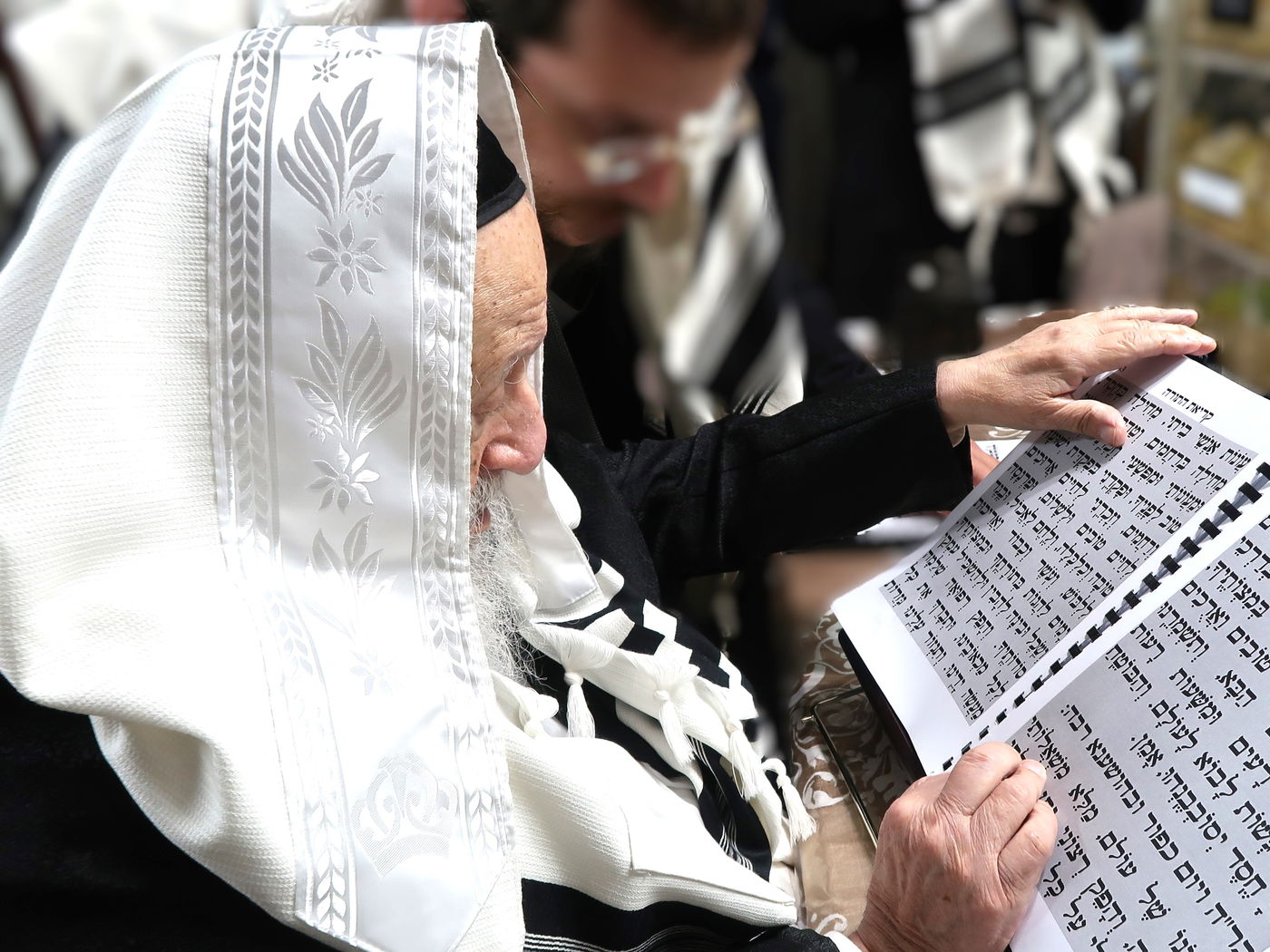 הגרב"ד פוברסקי בהושענא רבה