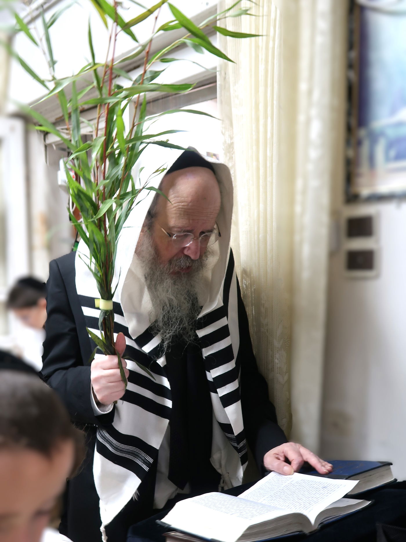 הגרב"ד פוברסקי בהושענא רבה