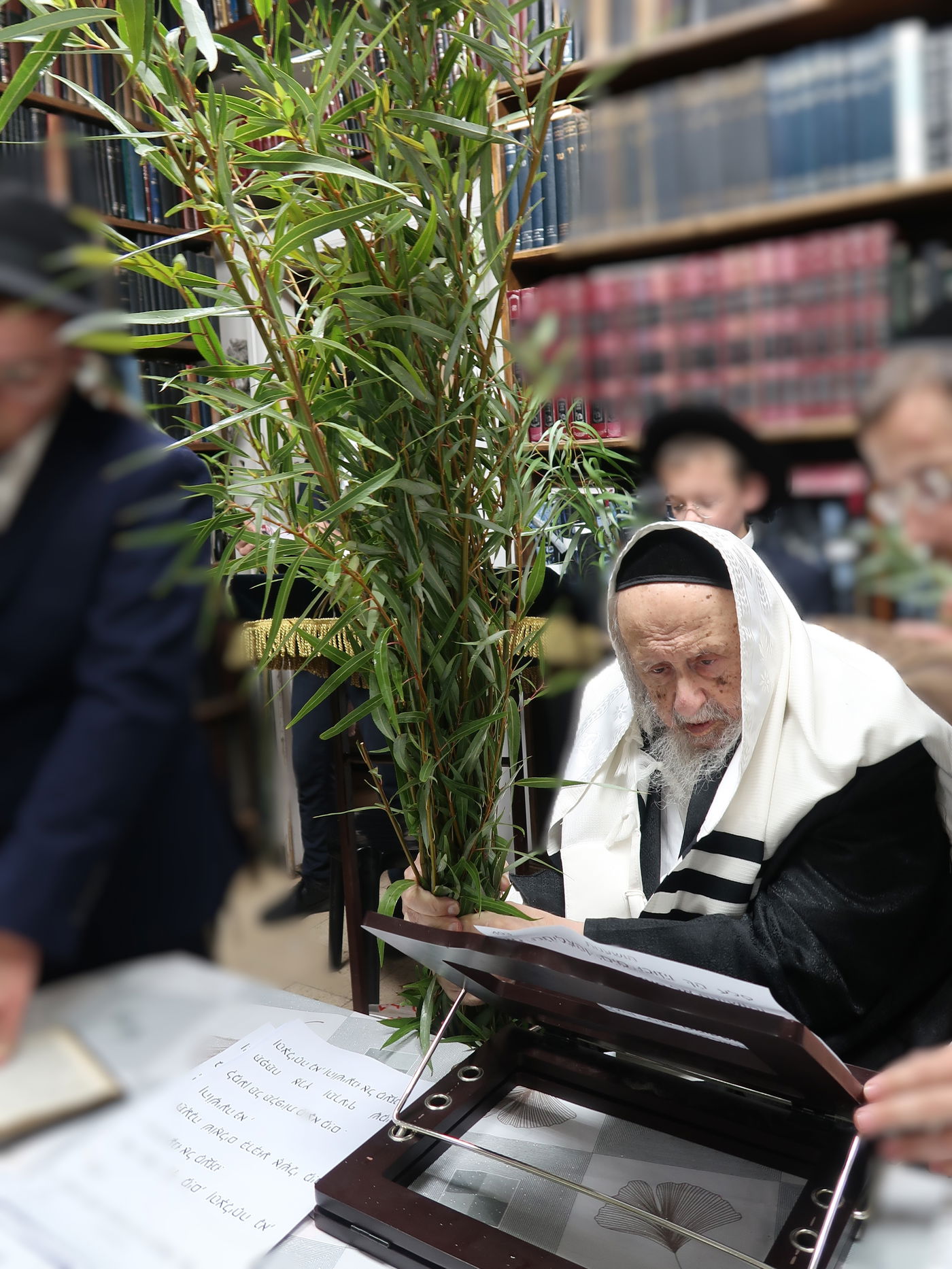 הגרב"ד פוברסקי בהושענא רבה