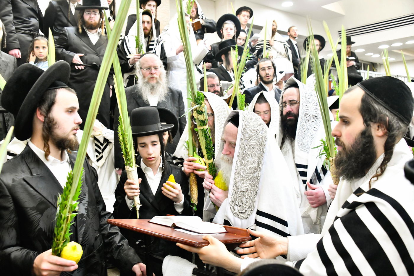 הושענא רבה אצל הגה"צ רבי יצחק מאיר מורגנשטרן