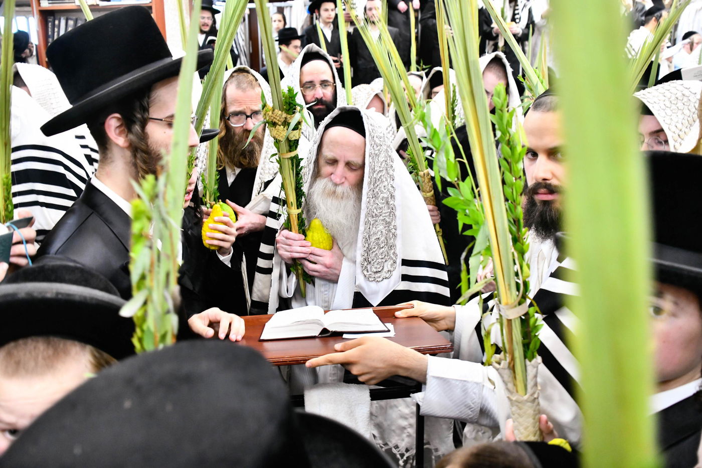 הושענא רבה אצל הגה"צ רבי יצחק מאיר מורגנשטרן