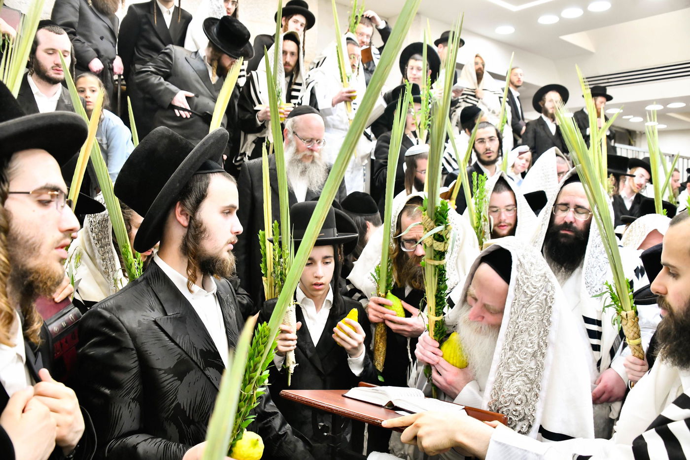 הושענא רבה אצל הגה"צ רבי יצחק מאיר מורגנשטרן