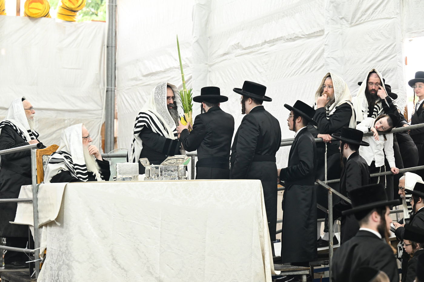 האדמו"ר מצאנז עם ארבעת המינים