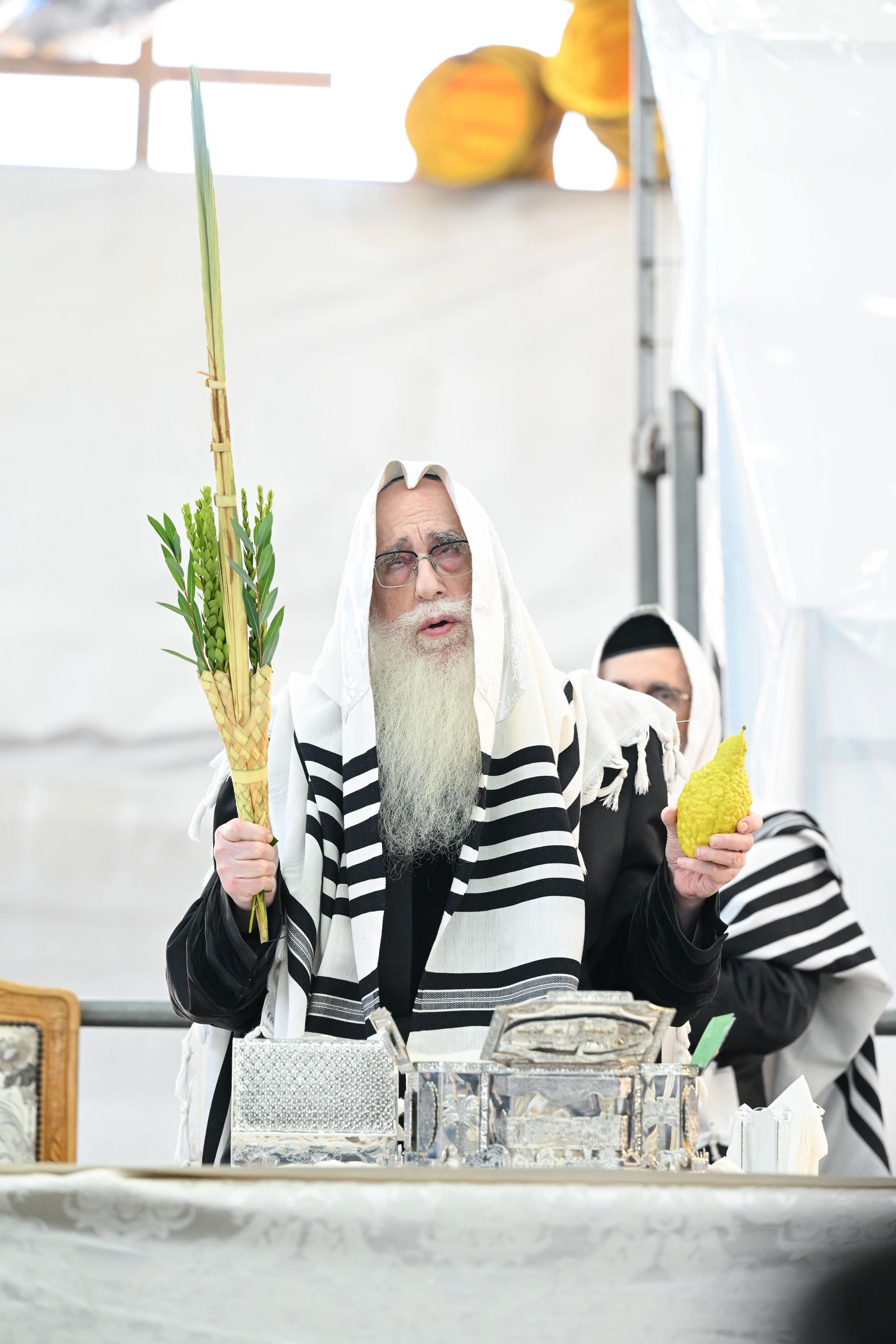 האדמו"ר מצאנז עם ארבעת המינים