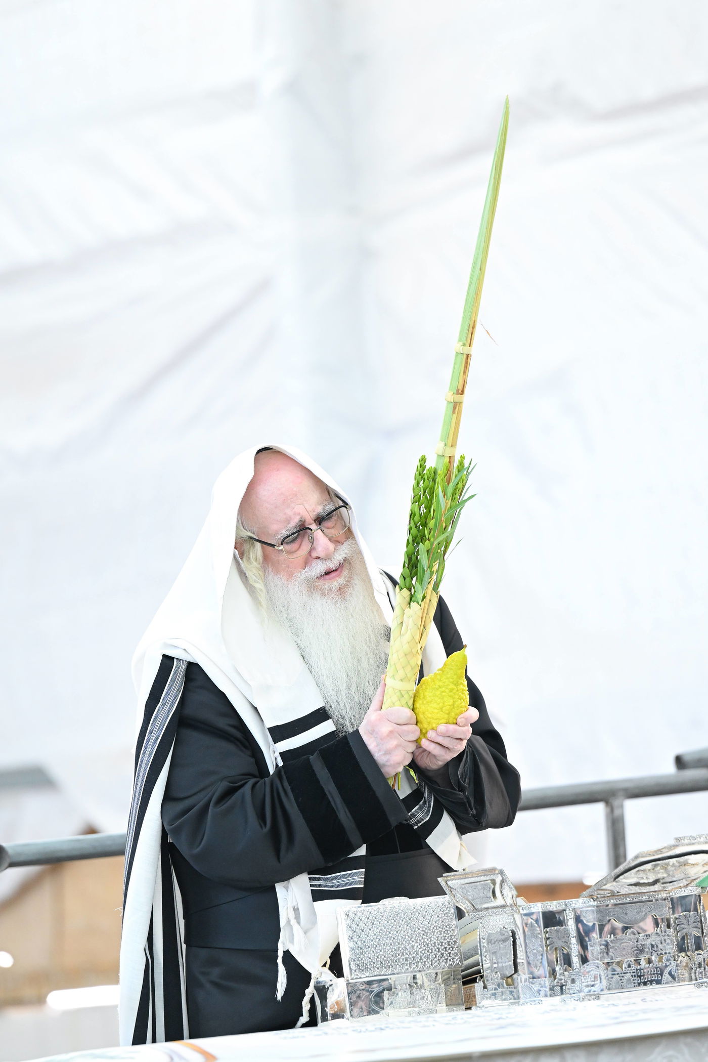 האדמו"ר מצאנז עם ארבעת המינים