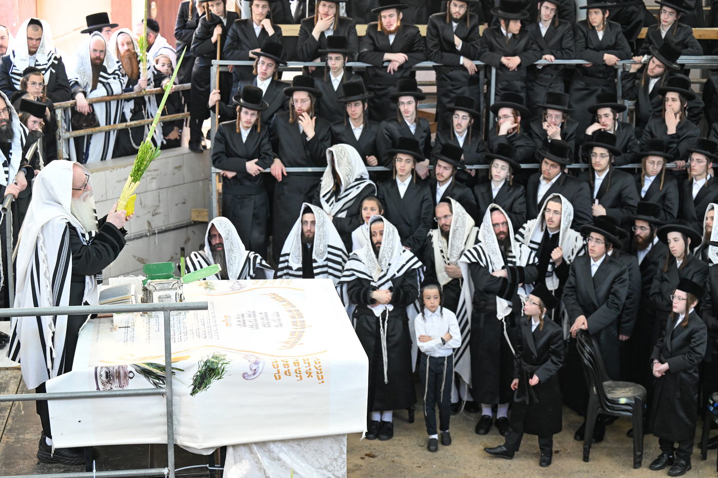 האדמו"ר מצאנז עם ארבעת המינים