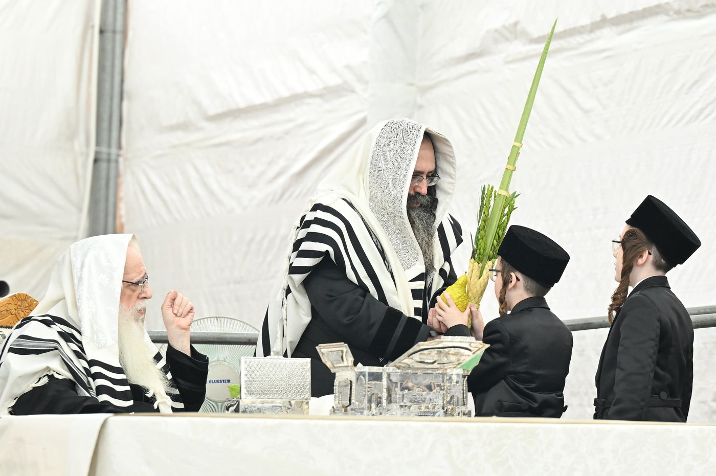 האדמו"ר מצאנז עם ארבעת המינים