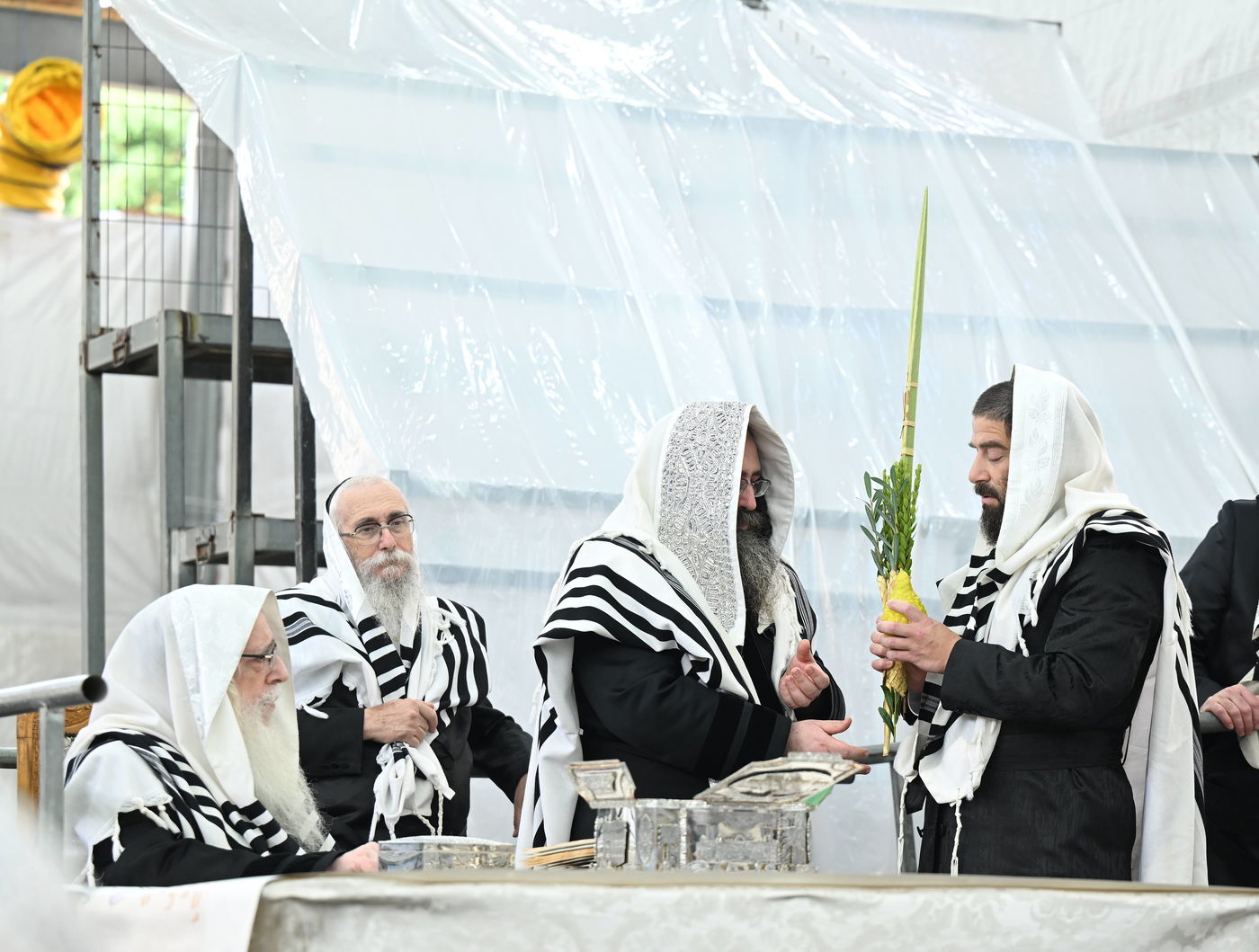 האדמו"ר מצאנז עם ארבעת המינים