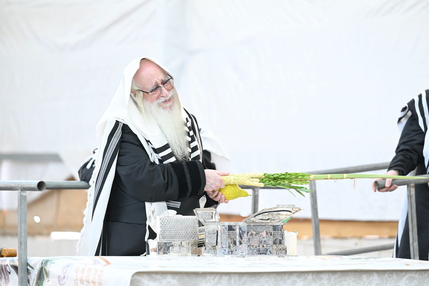 האדמו"ר מצאנז עם ארבעת המינים