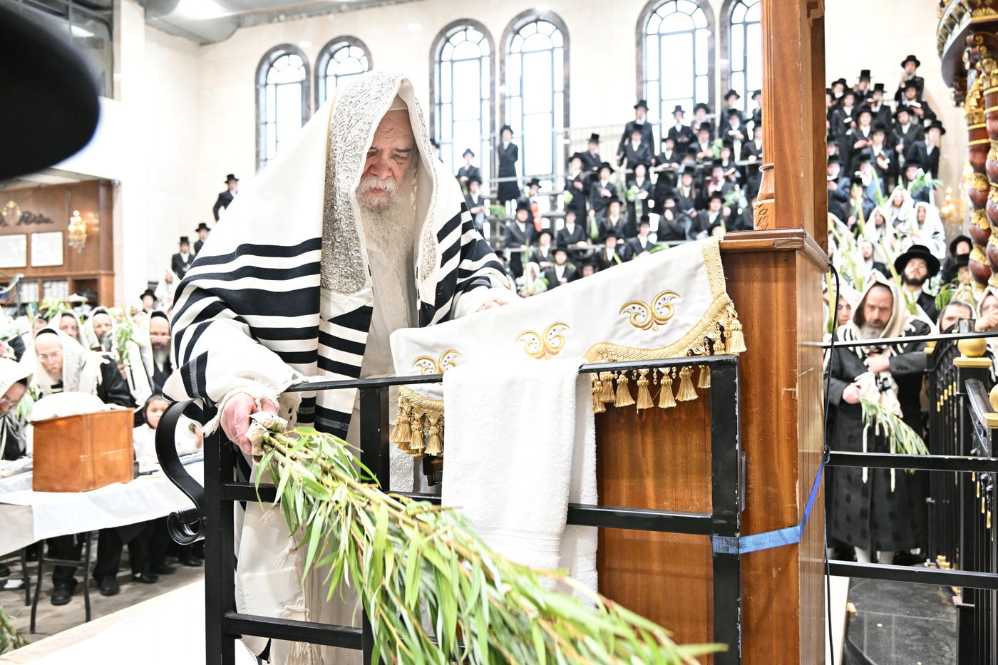 הושענא רבה בחצה"ק דארג