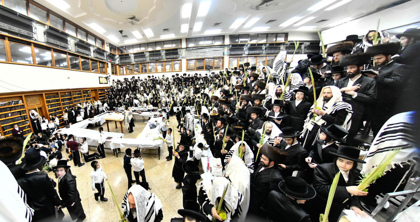 הושענא רבה בחצה"ק רחמסטריווקא