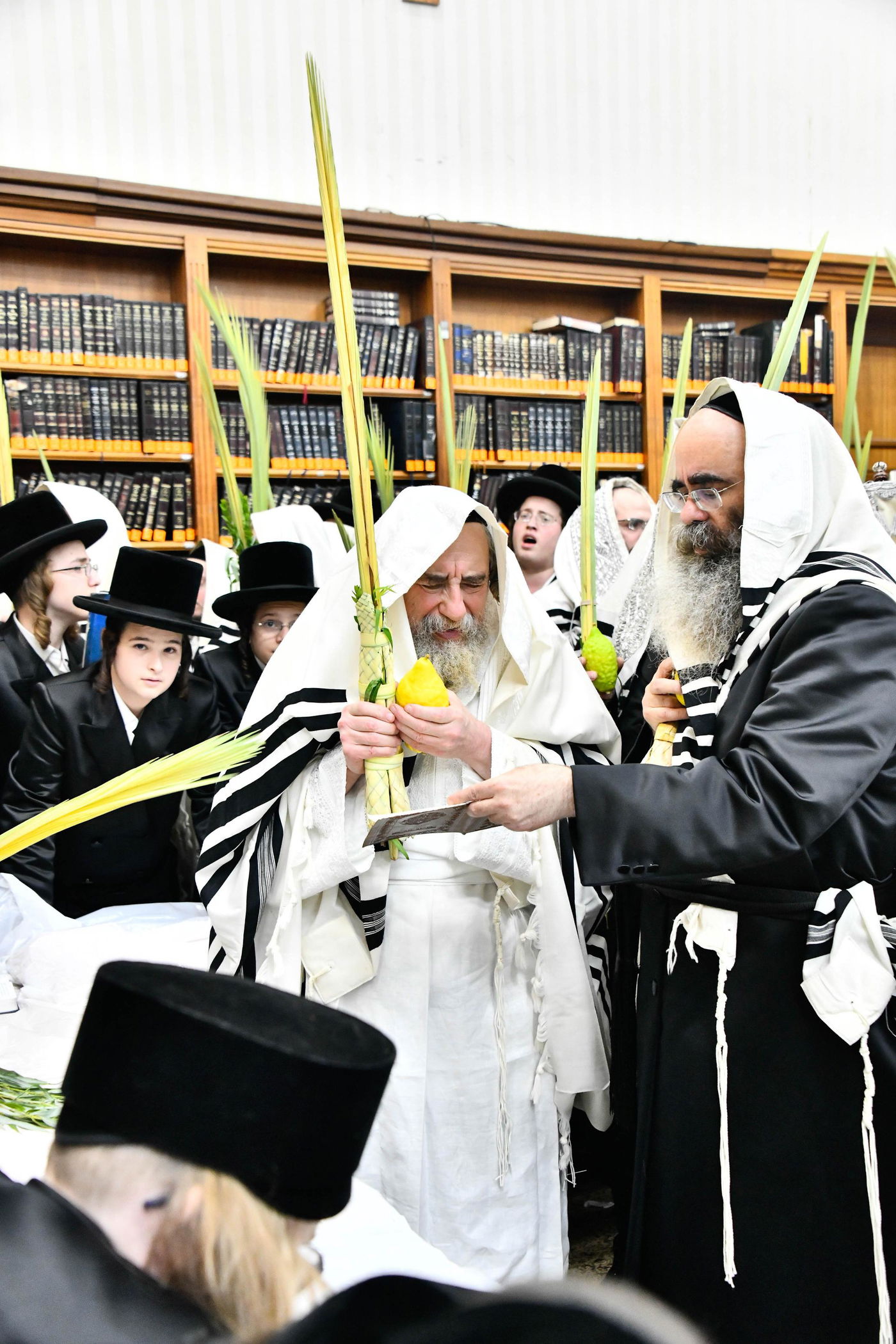 הושענא רבה בחצה"ק רחמסטריווקא