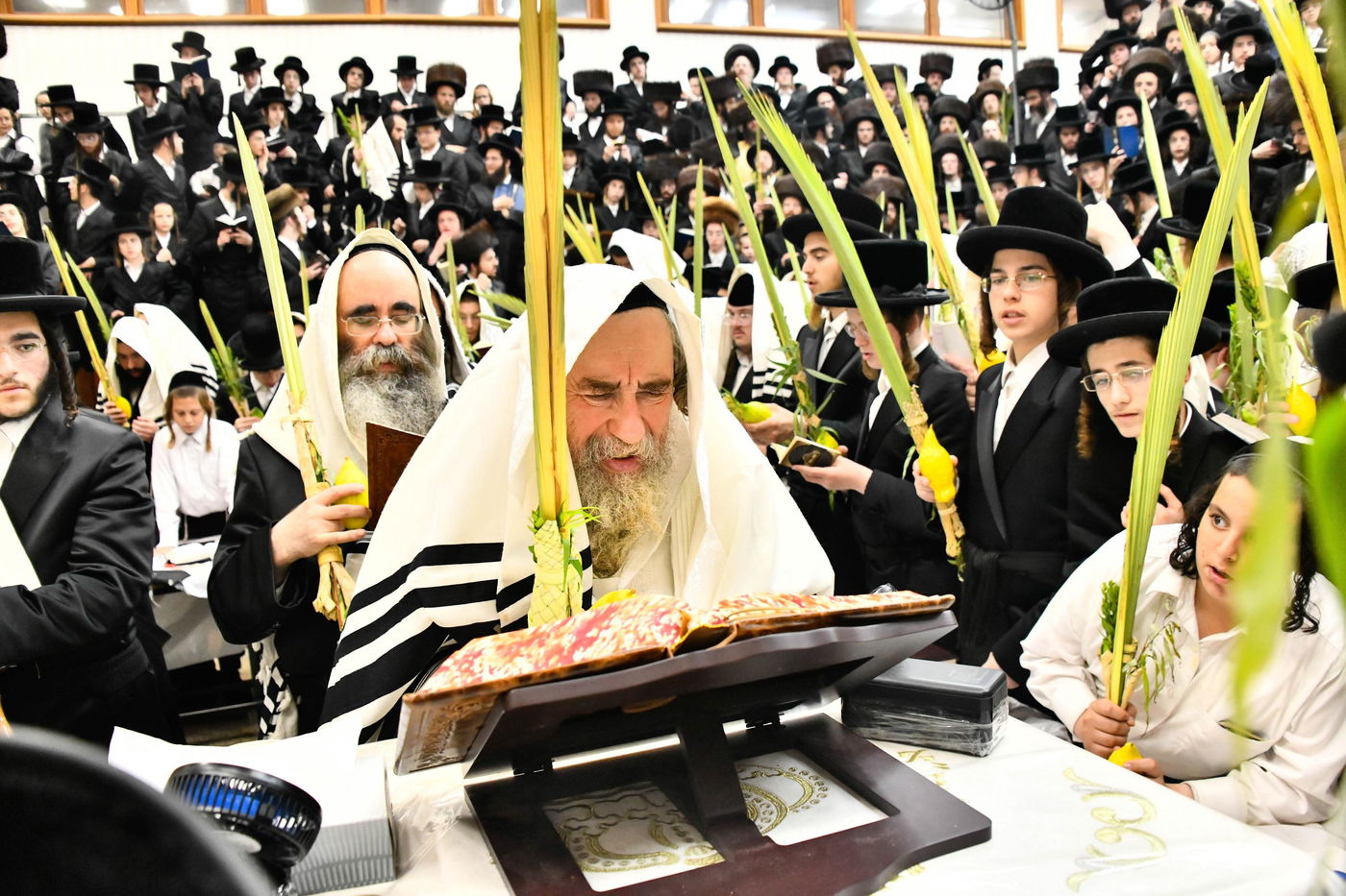 הושענא רבה בחצה"ק רחמסטריווקא