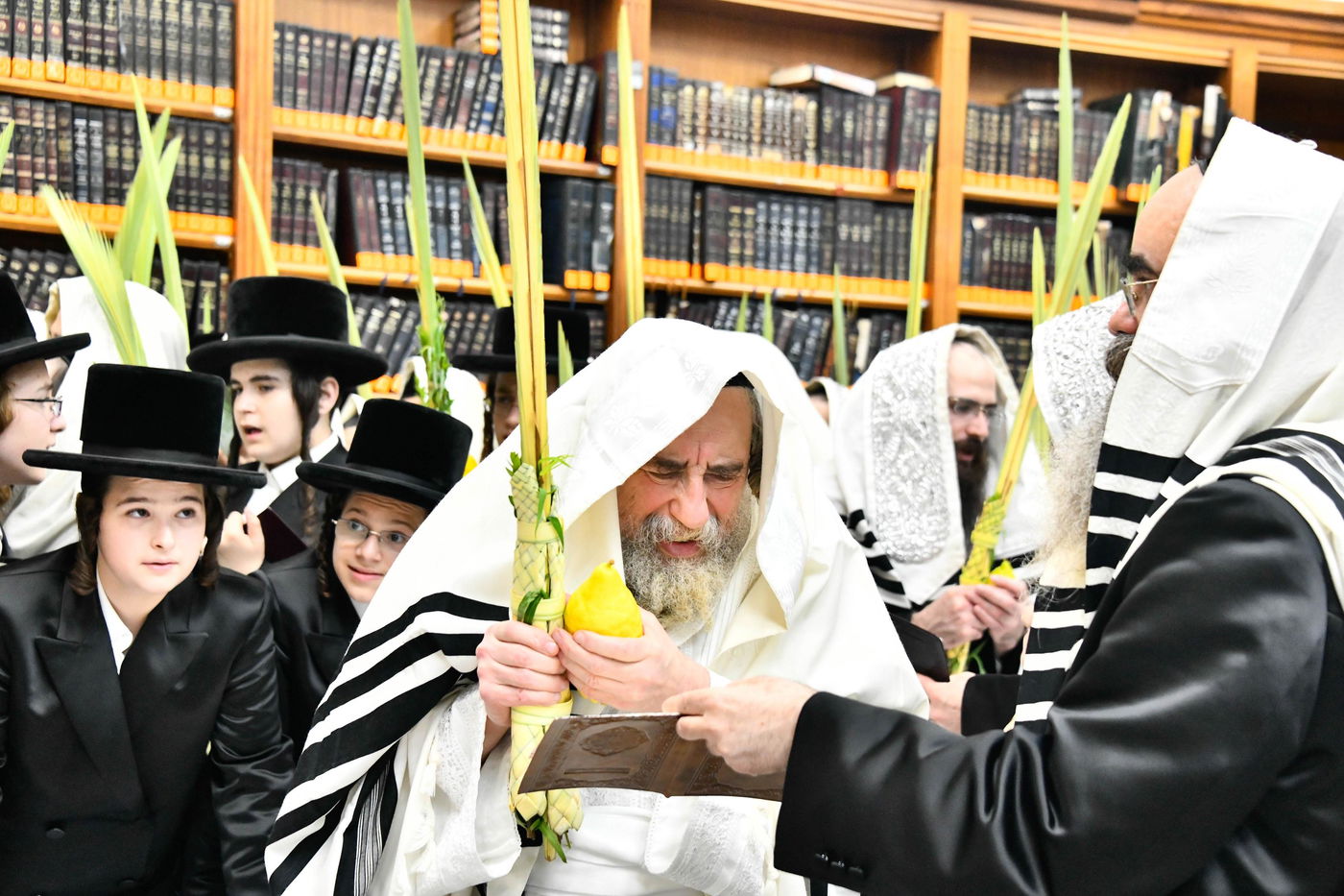 הושענא רבה בחצה"ק רחמסטריווקא