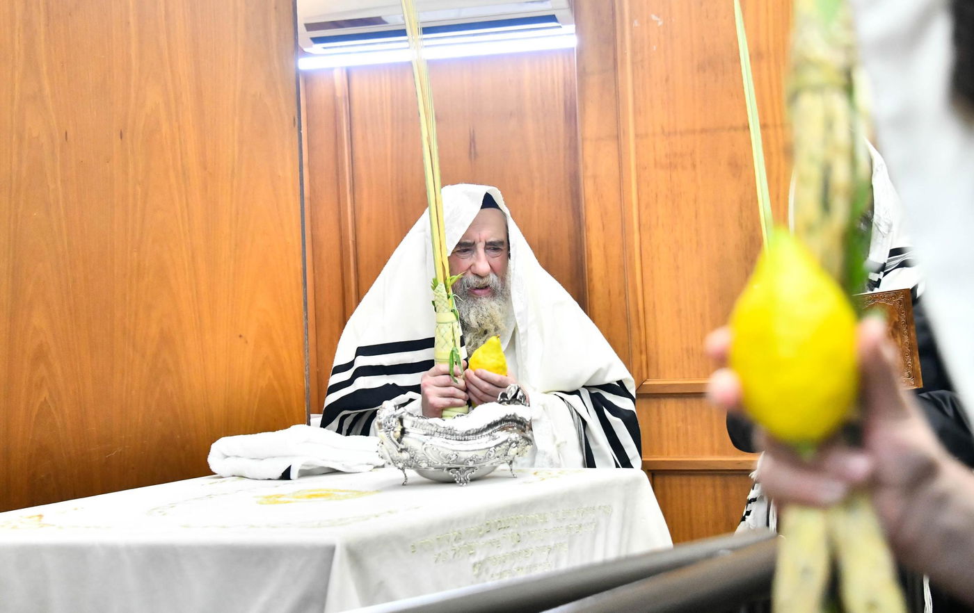 הושענא רבה בחצה"ק רחמסטריווקא