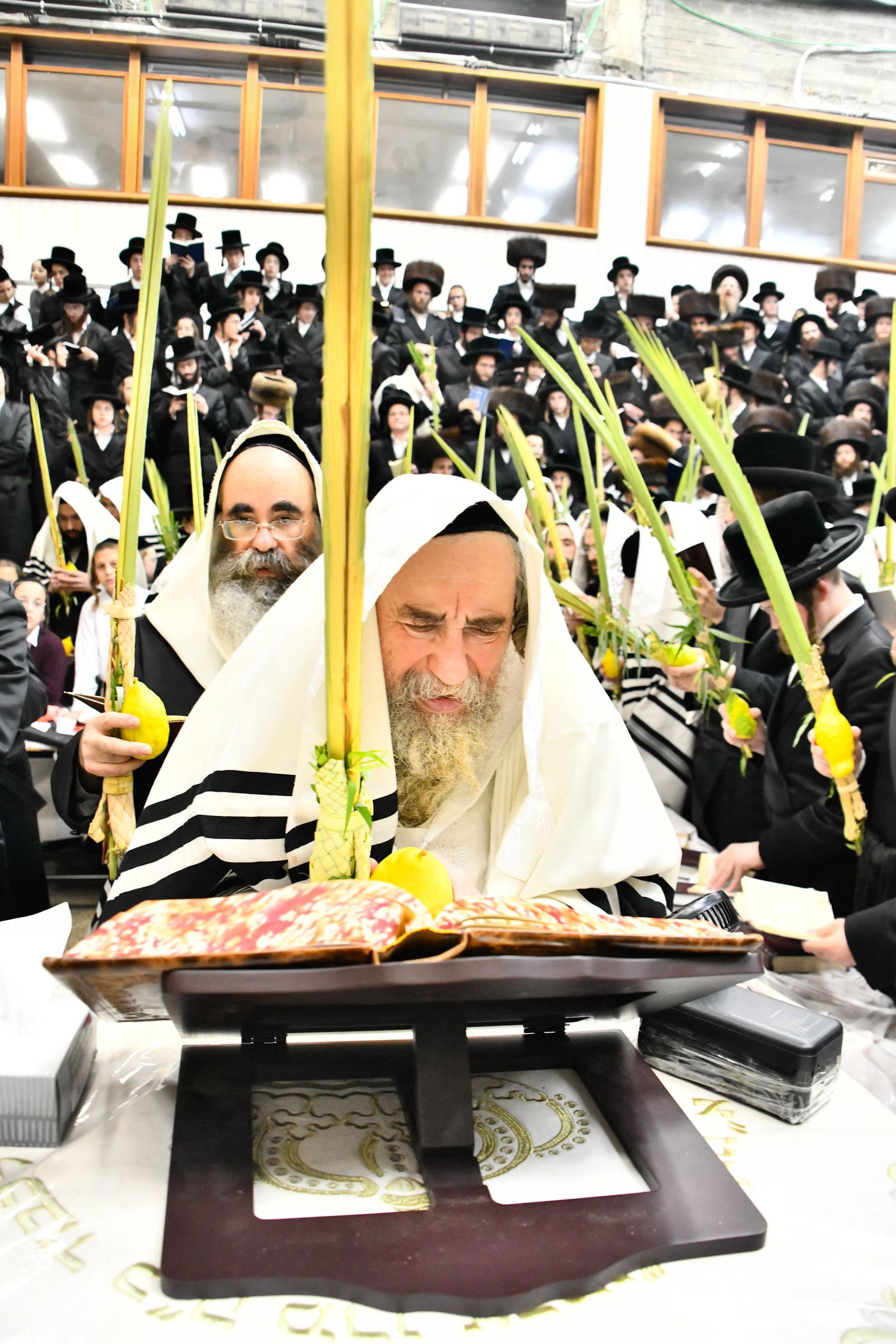 הושענא רבה בחצה"ק רחמסטריווקא