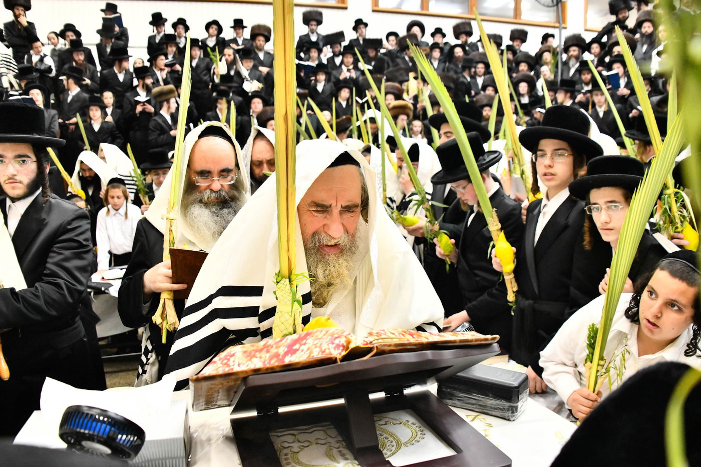 הושענא רבה בחצה"ק רחמסטריווקא