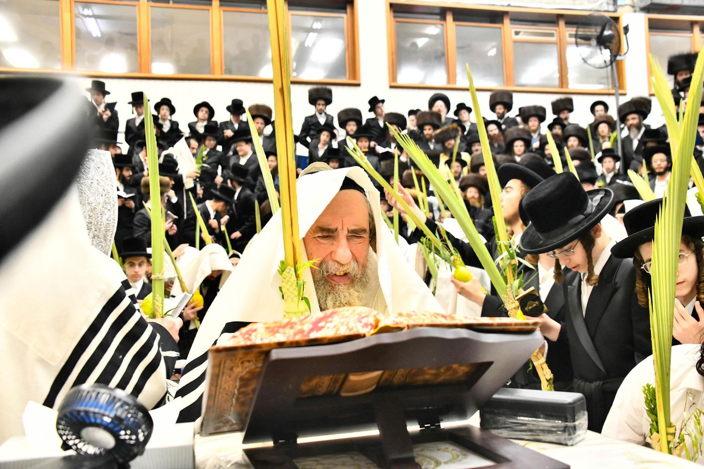 הושענא רבה בחצה"ק רחמסטריווקא