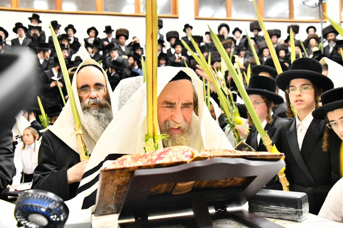 הושענא רבה בחצה"ק רחמסטריווקא