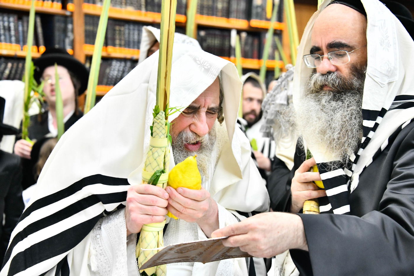 הושענא רבה בחצה"ק רחמסטריווקא