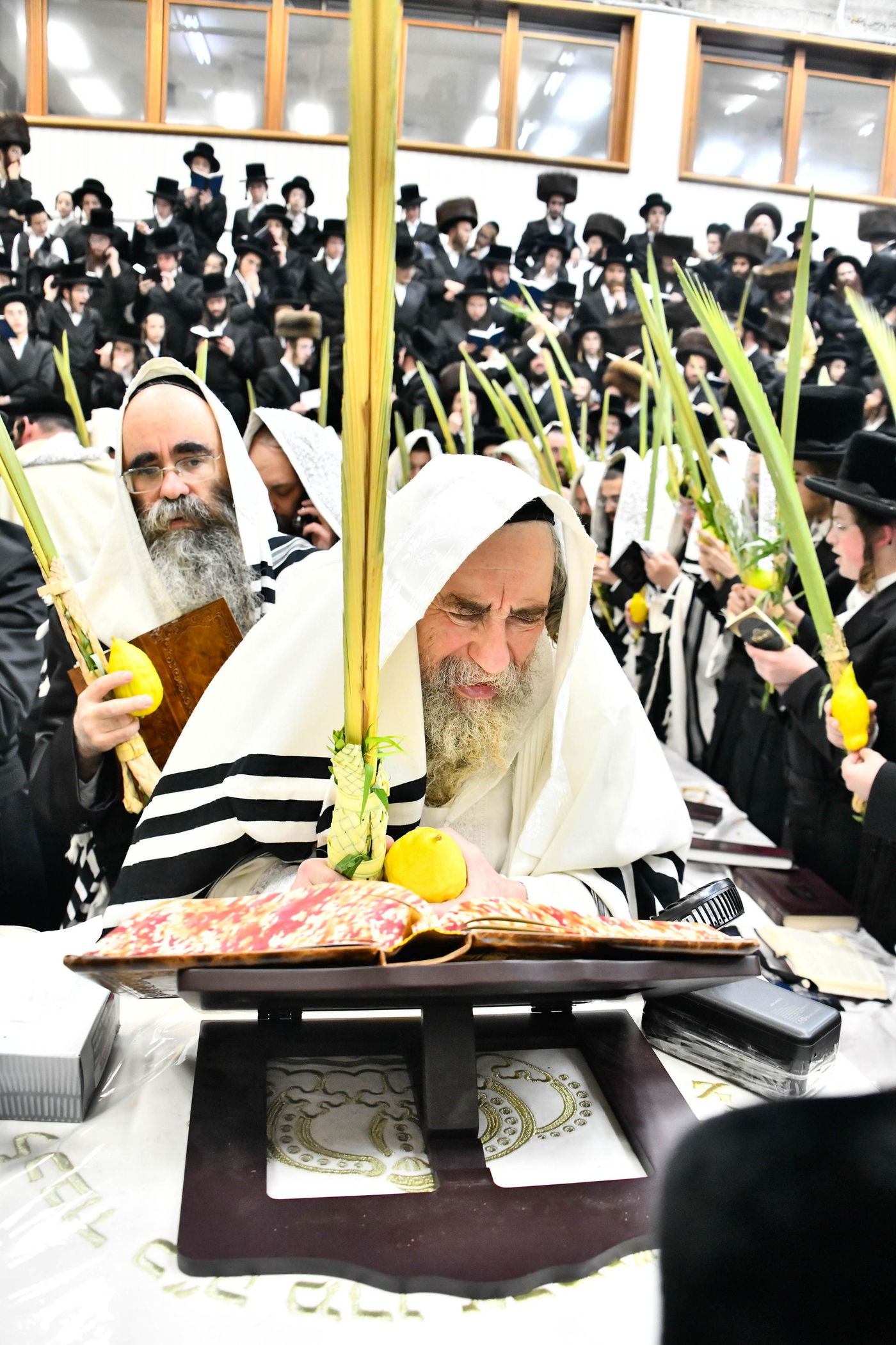 הושענא רבה בחצה"ק רחמסטריווקא