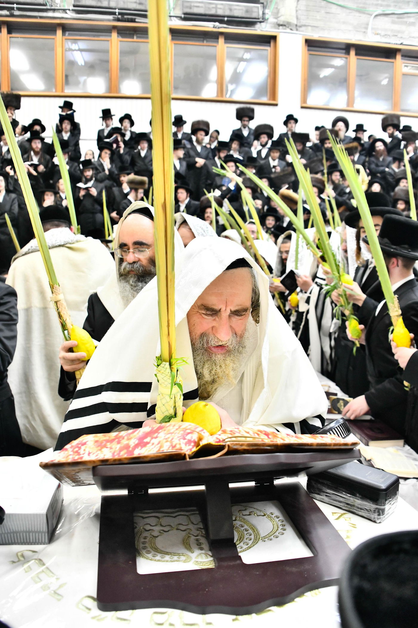 הושענא רבה בחצה"ק רחמסטריווקא