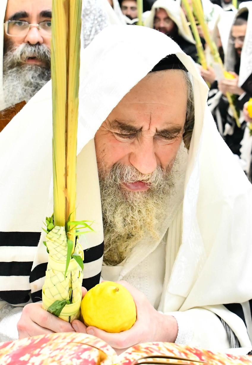 הושענא רבה בחצה"ק רחמסטריווקא