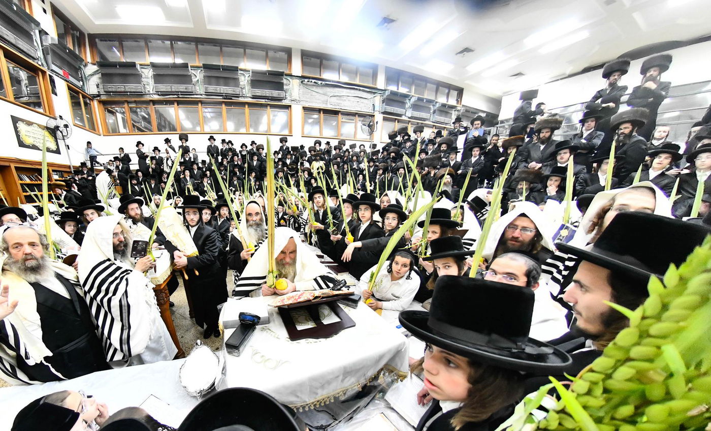 הושענא רבה בחצה"ק רחמסטריווקא