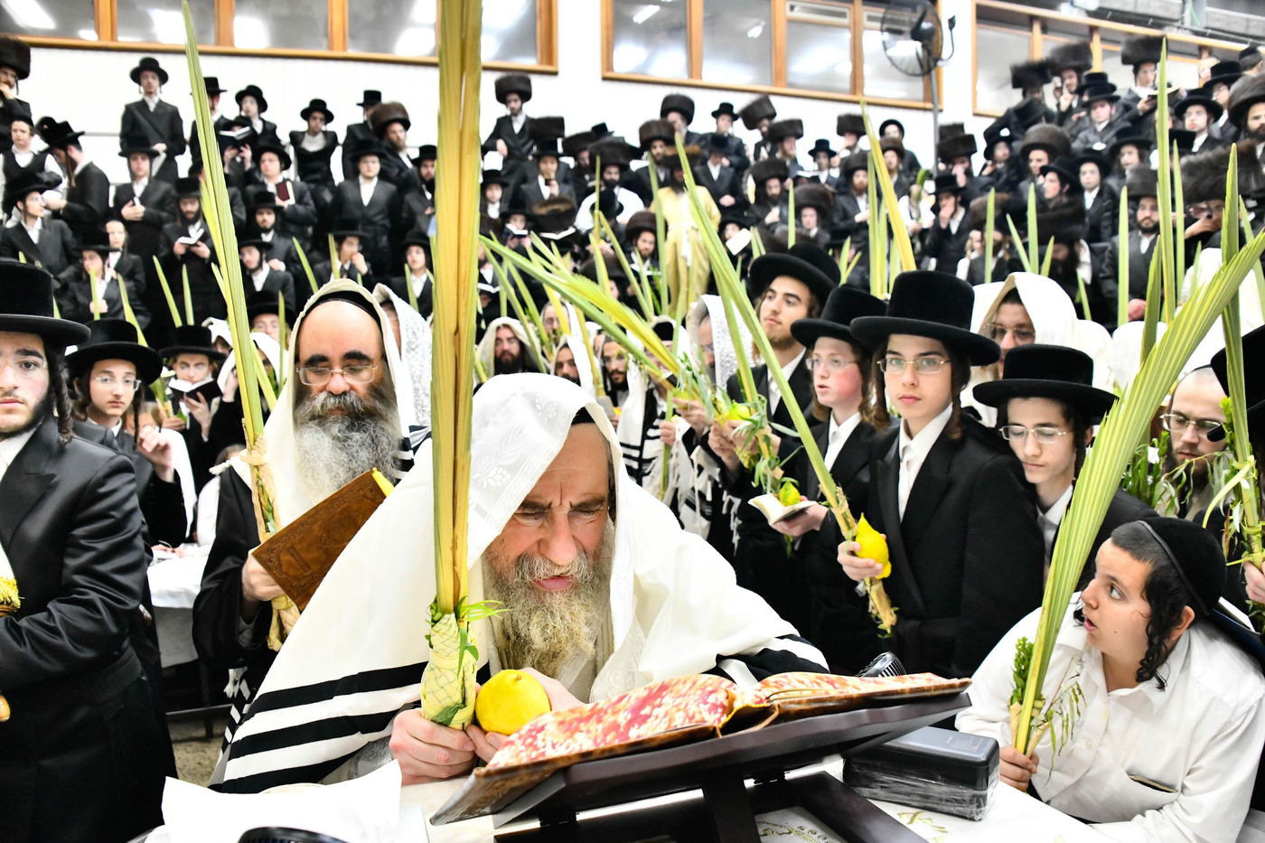 הושענא רבה בחצה"ק רחמסטריווקא