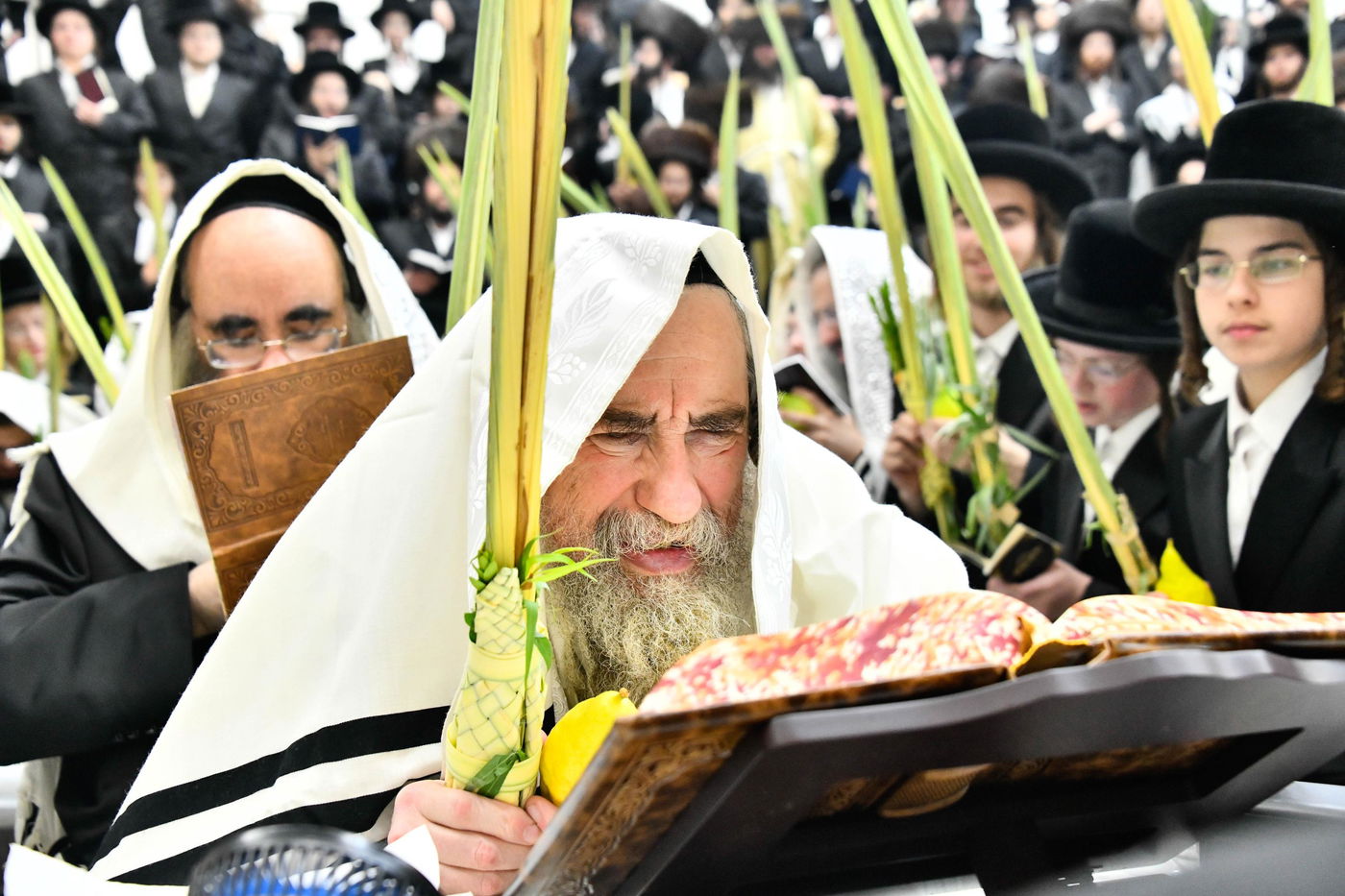 הושענא רבה בחצה"ק רחמסטריווקא