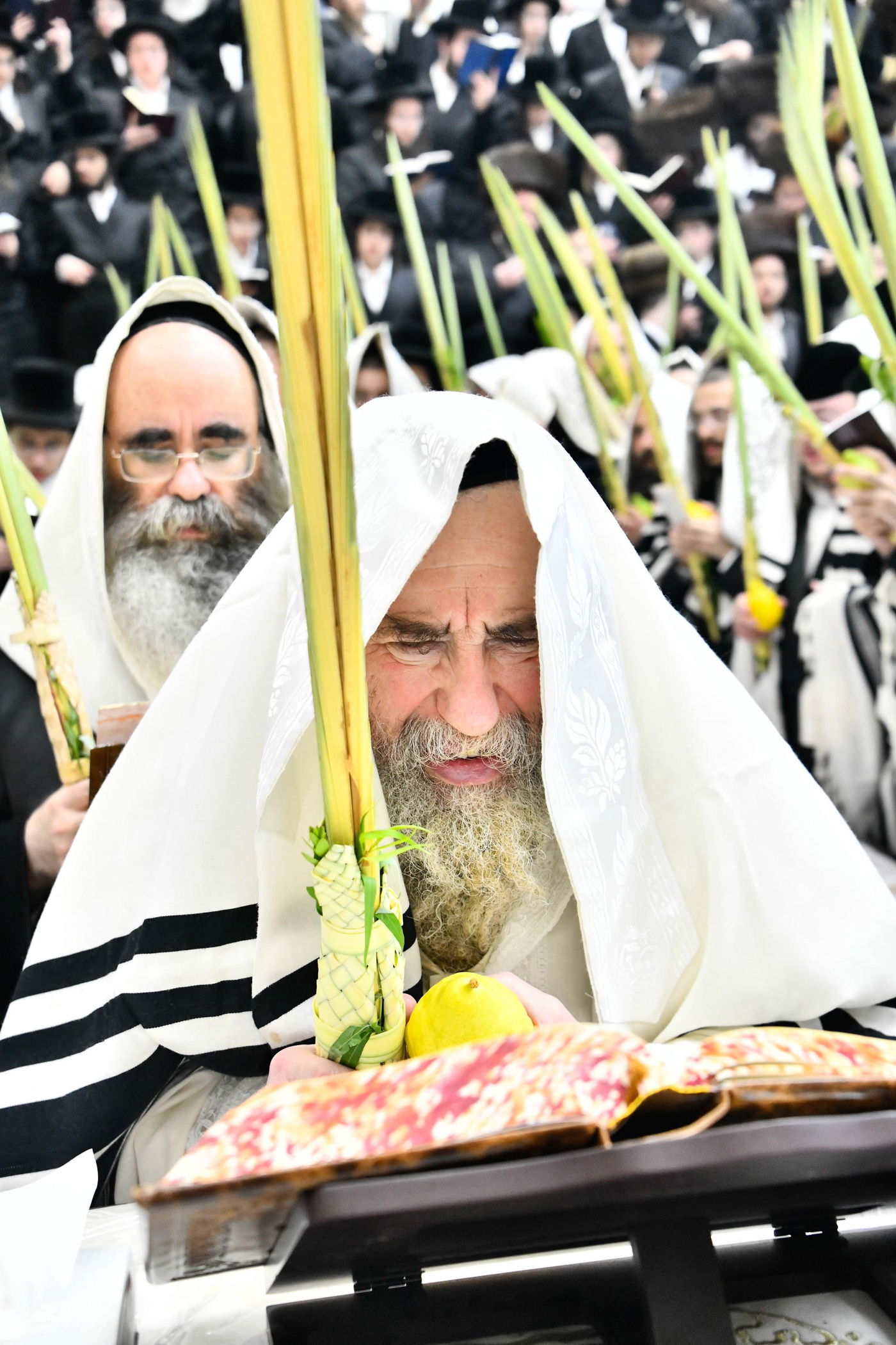 הושענא רבה בחצה"ק רחמסטריווקא