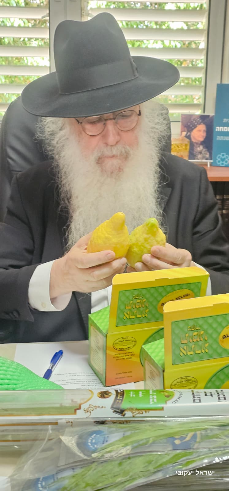 חג הסוכות אצל האדמו"ר רבי דוד חנניה פינטו 