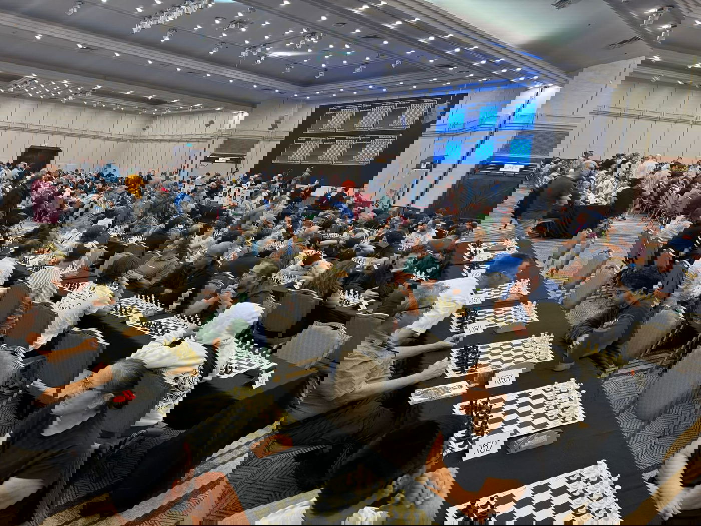 תחרות השח מט בישראל 