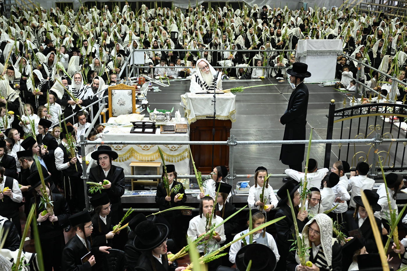 האדמו"ר מצאנז בעבודת הנענועים בהושענא רבה