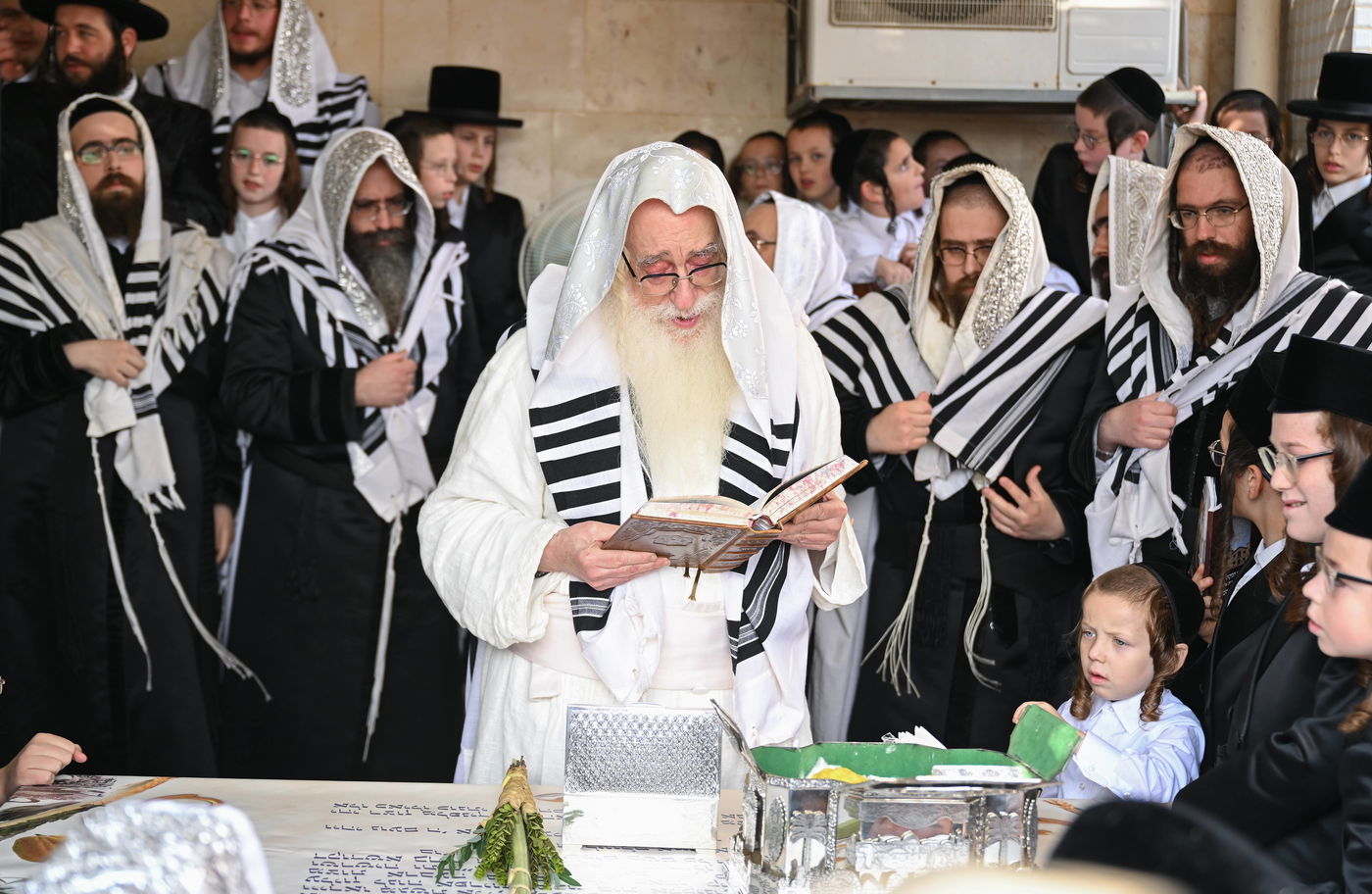 האדמו"ר מצאנז בעבודת הנענועים בהושענא רבה