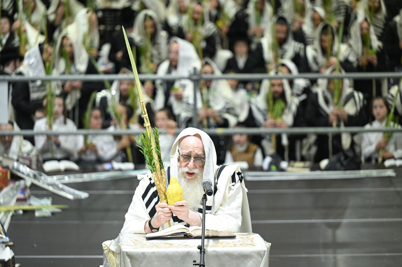 האדמו"ר מצאנז בעבודת הנענועים בהושענא רבה