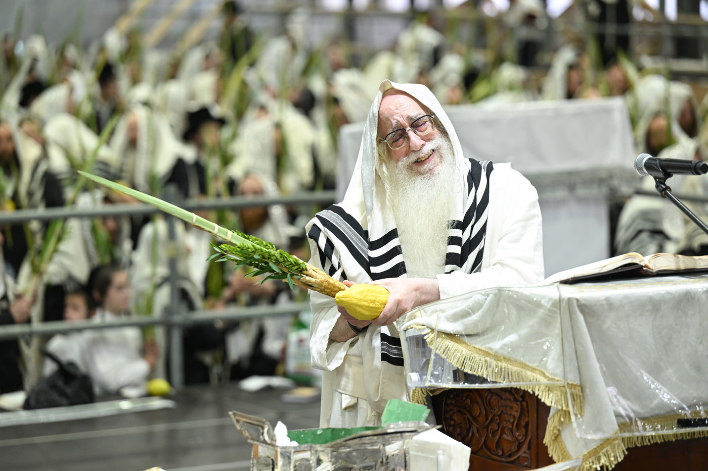 האדמו"ר מצאנז בעבודת הנענועים בהושענא רבה