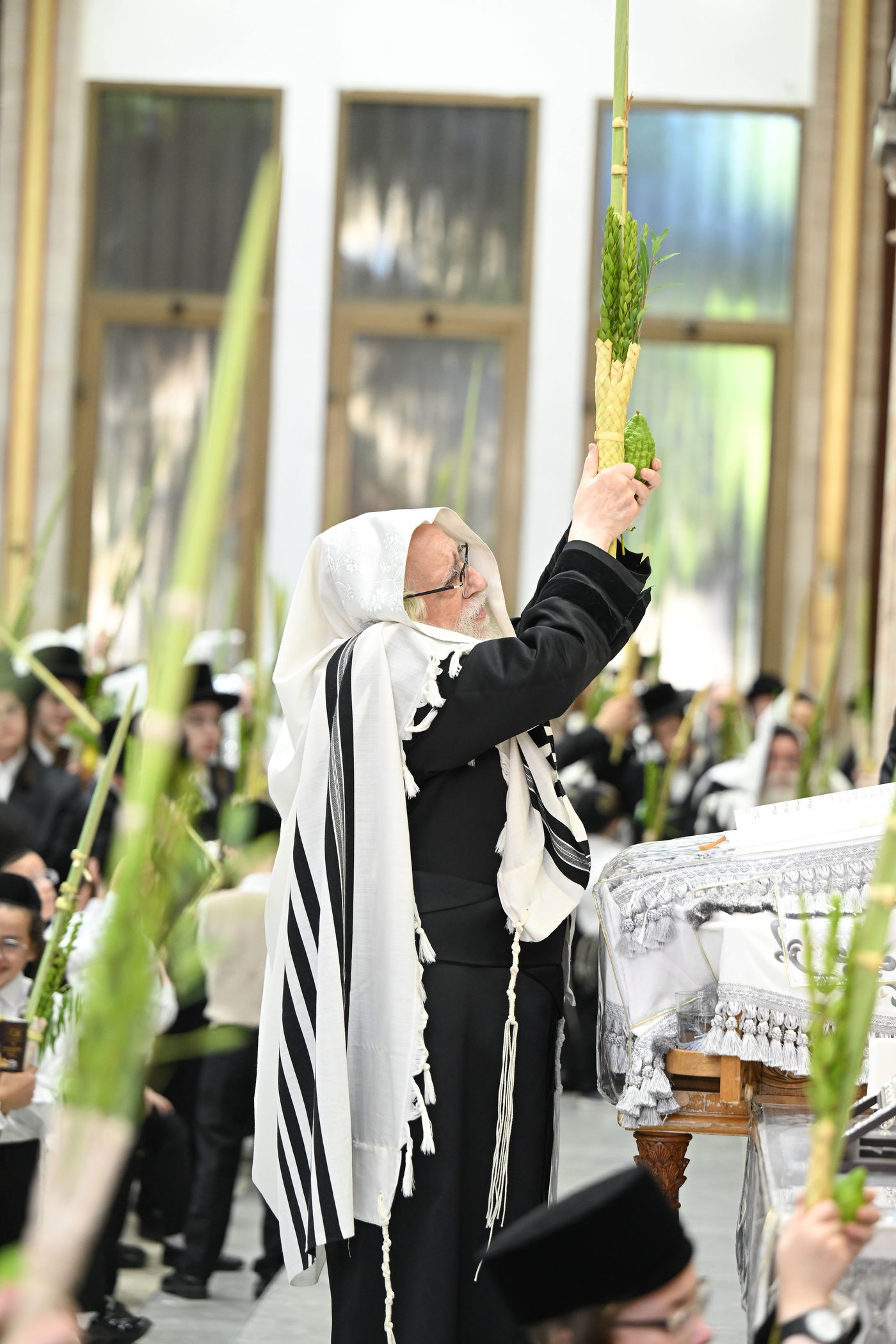 סוכות בחצה"ק צאנז