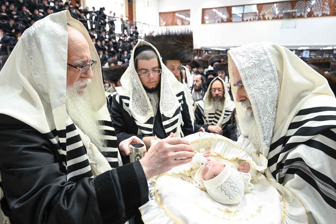 סוכות בחצה"ק צאנז