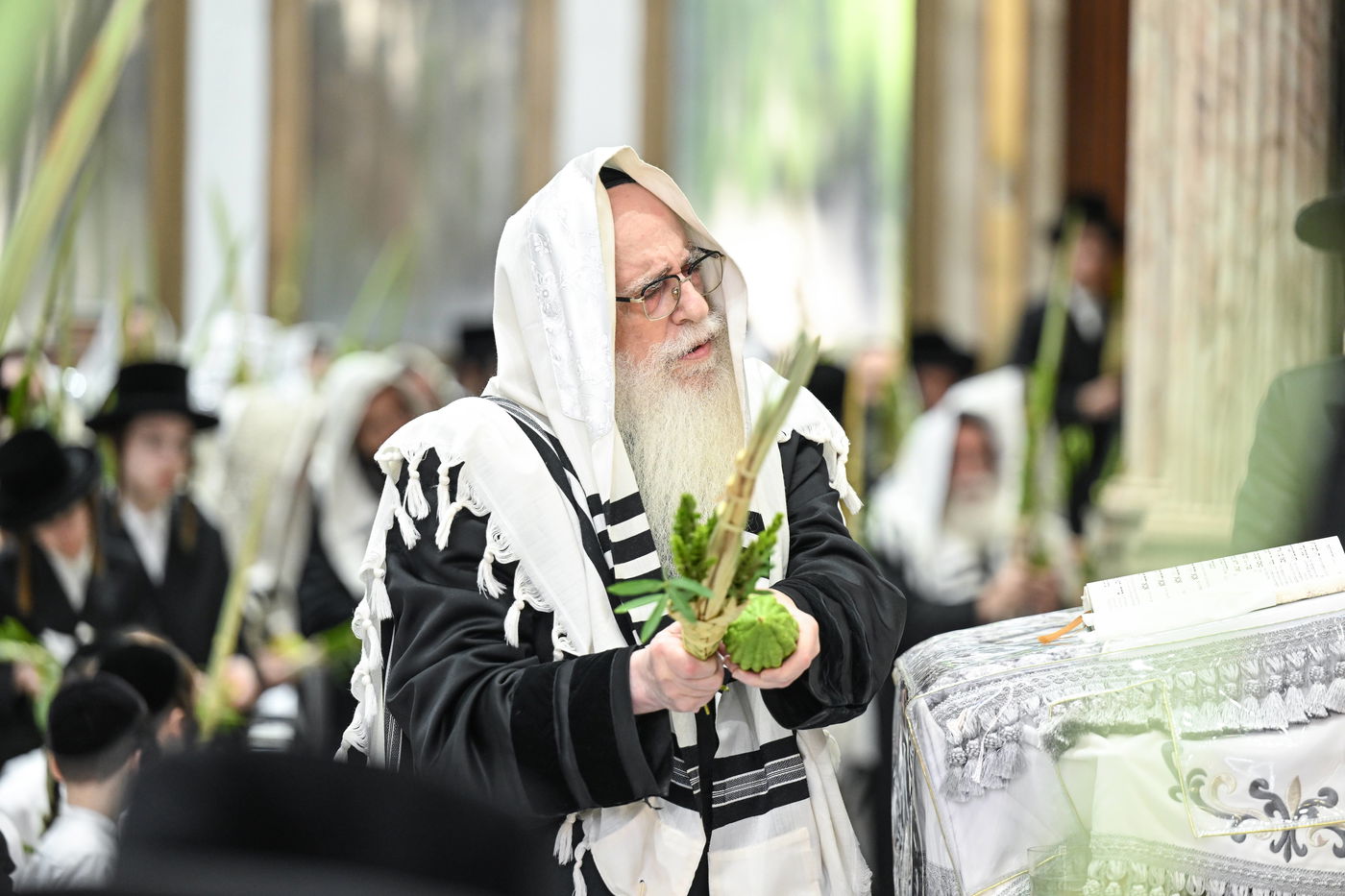 סוכות בחצה"ק צאנז