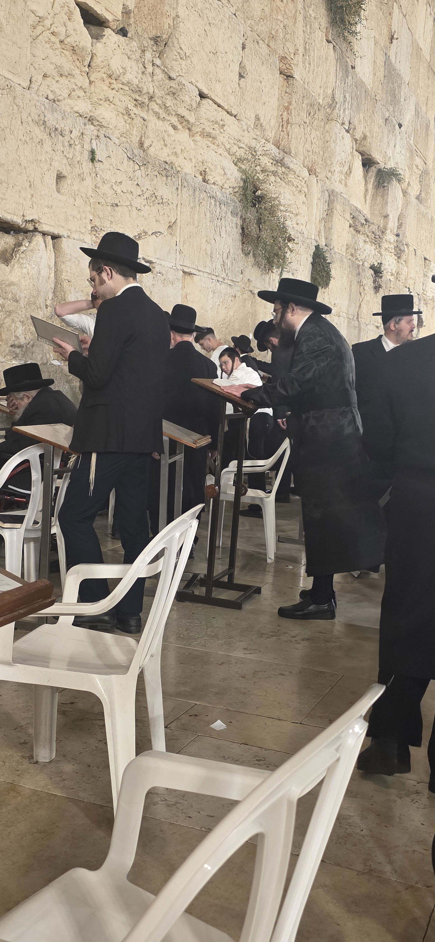 הגרימ"ד הלברשטאם בכותל המערבי