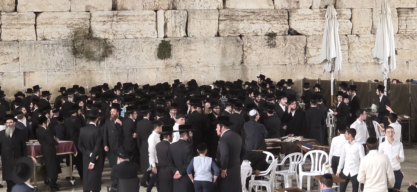 האדמו"ר מויז'ניץ בית שמש בכותל המערבי