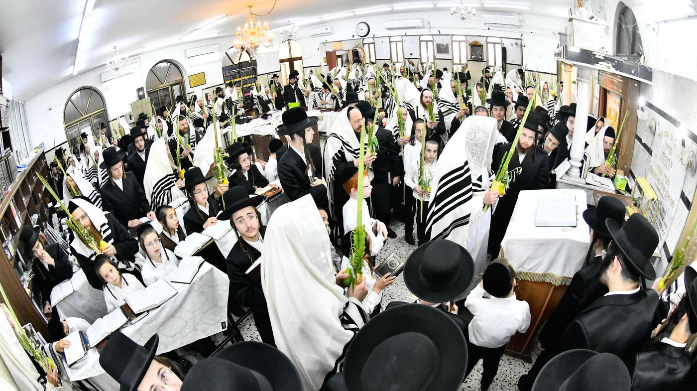 הושענא רבא בחצה"ק מודז'יץ