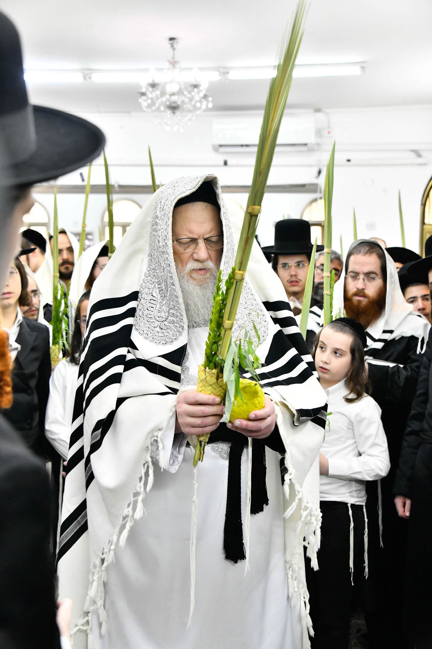 הושענא רבא בחצה"ק מודז'יץ