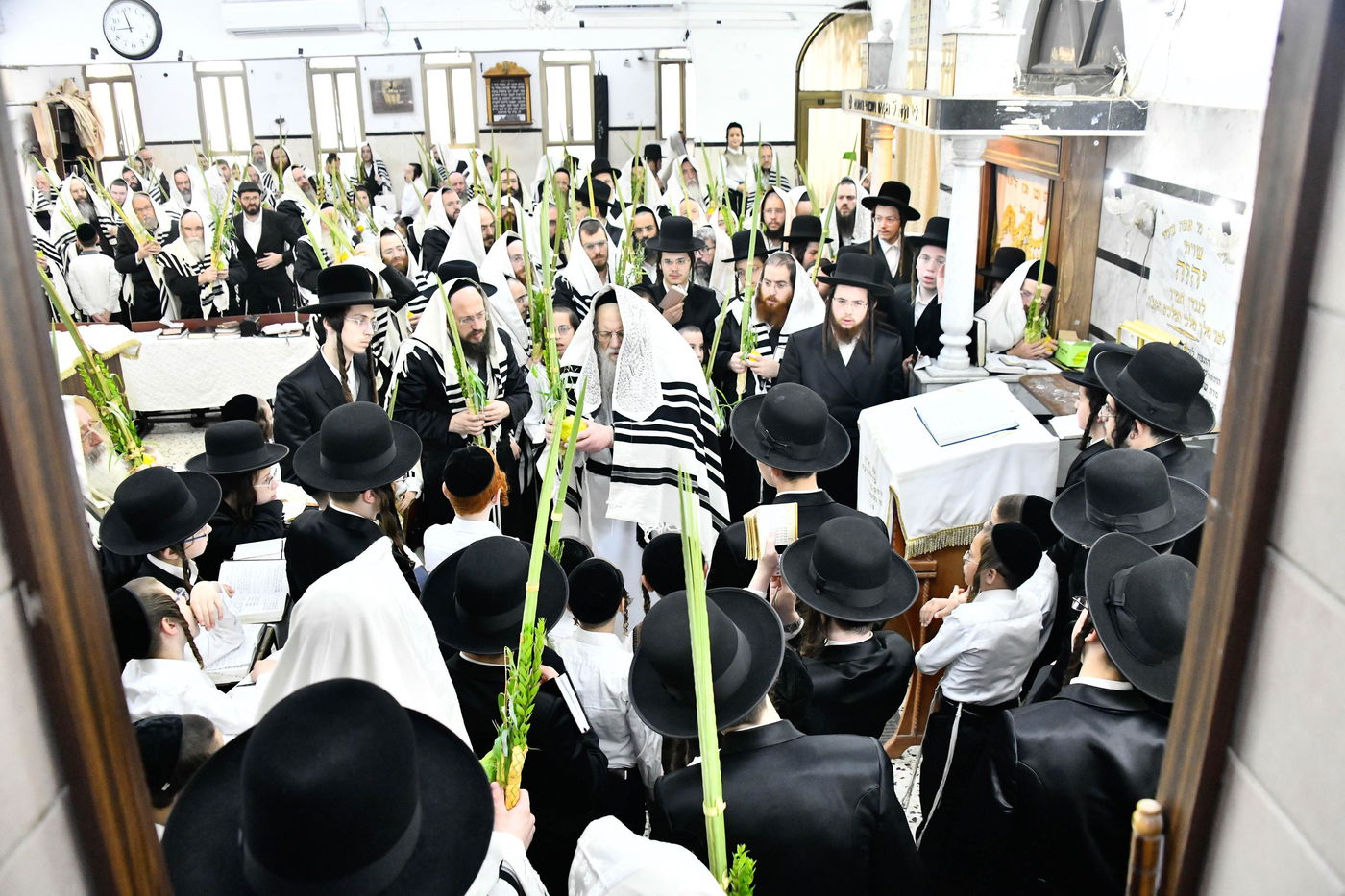 הושענא רבא בחצה"ק מודז'יץ