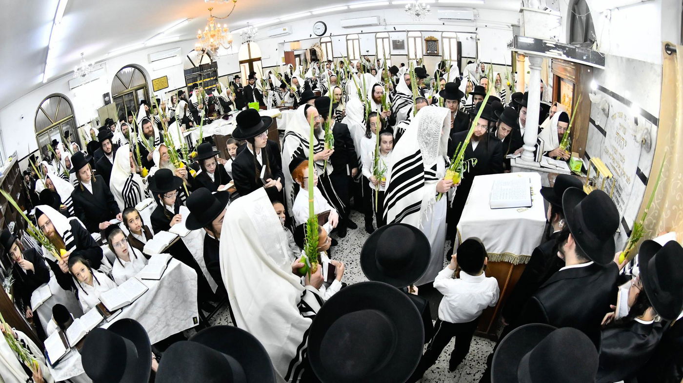 הושענא רבא בחצה"ק מודז'יץ