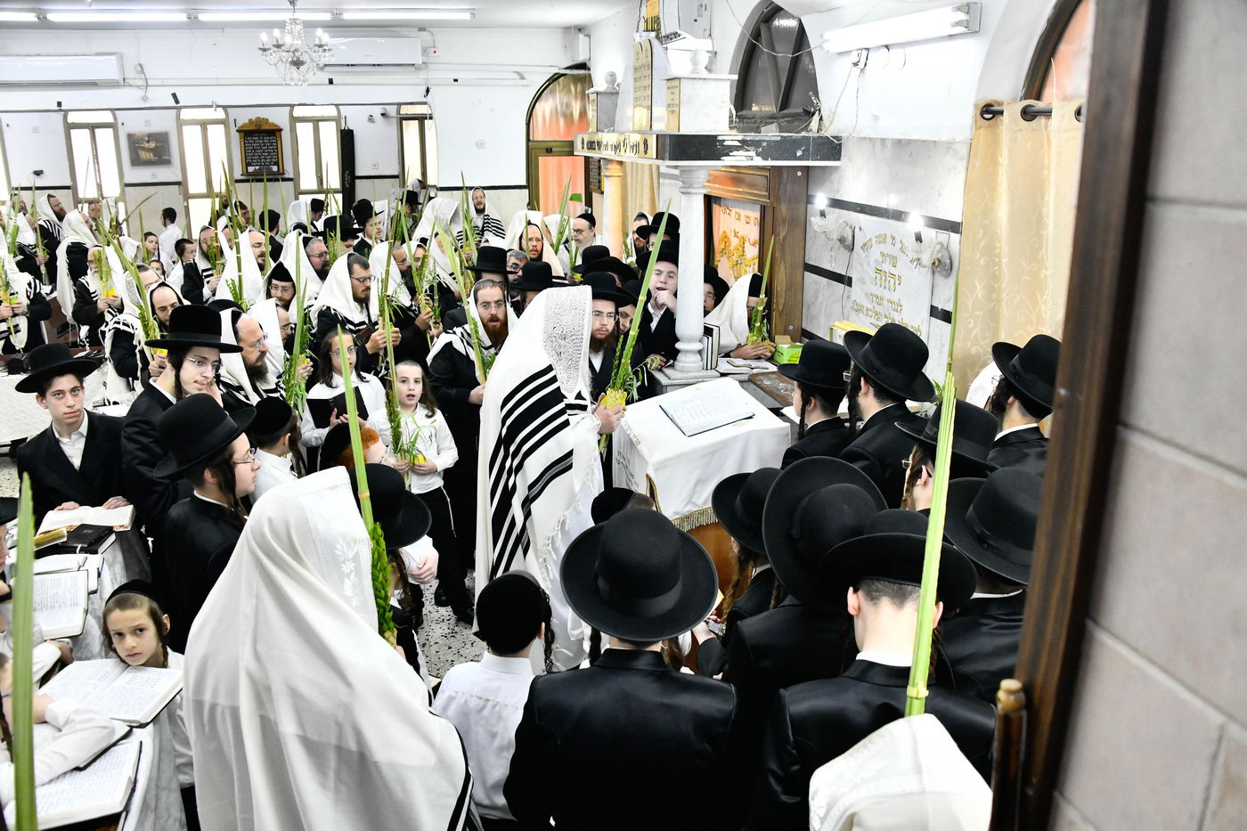 הושענא רבא בחצה"ק מודז'יץ